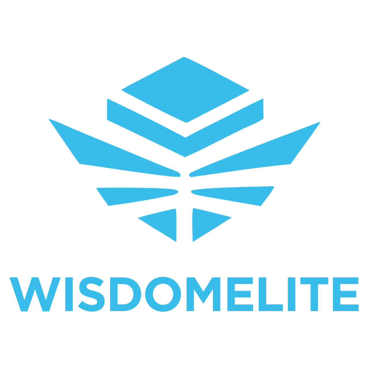 Wisdomelite.top Reviews